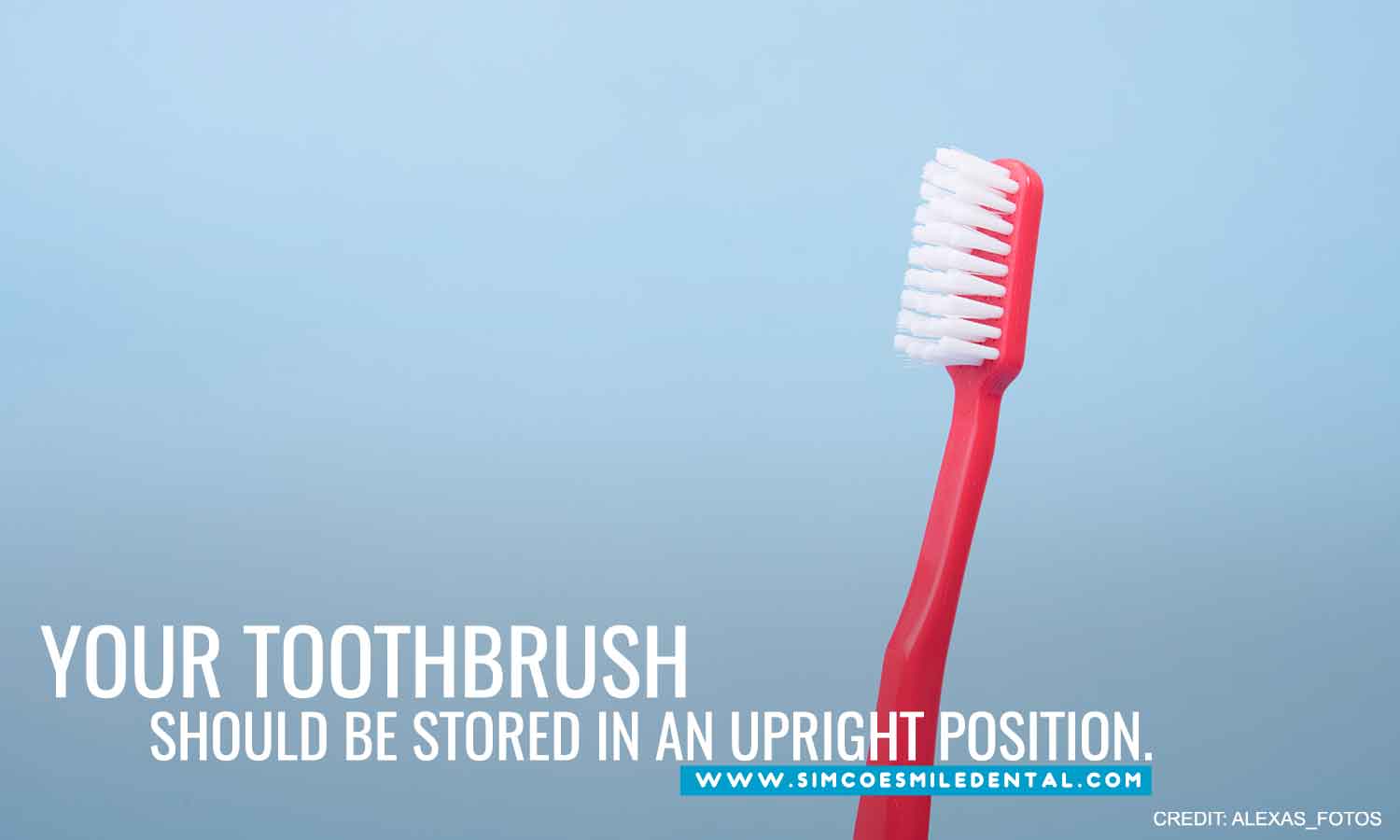 How to Help Your Toothbrush Take Care of Your Teeth