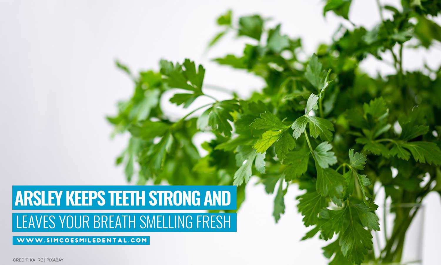 Parsley keeps teeth strong and leaves your breath smelling fresh